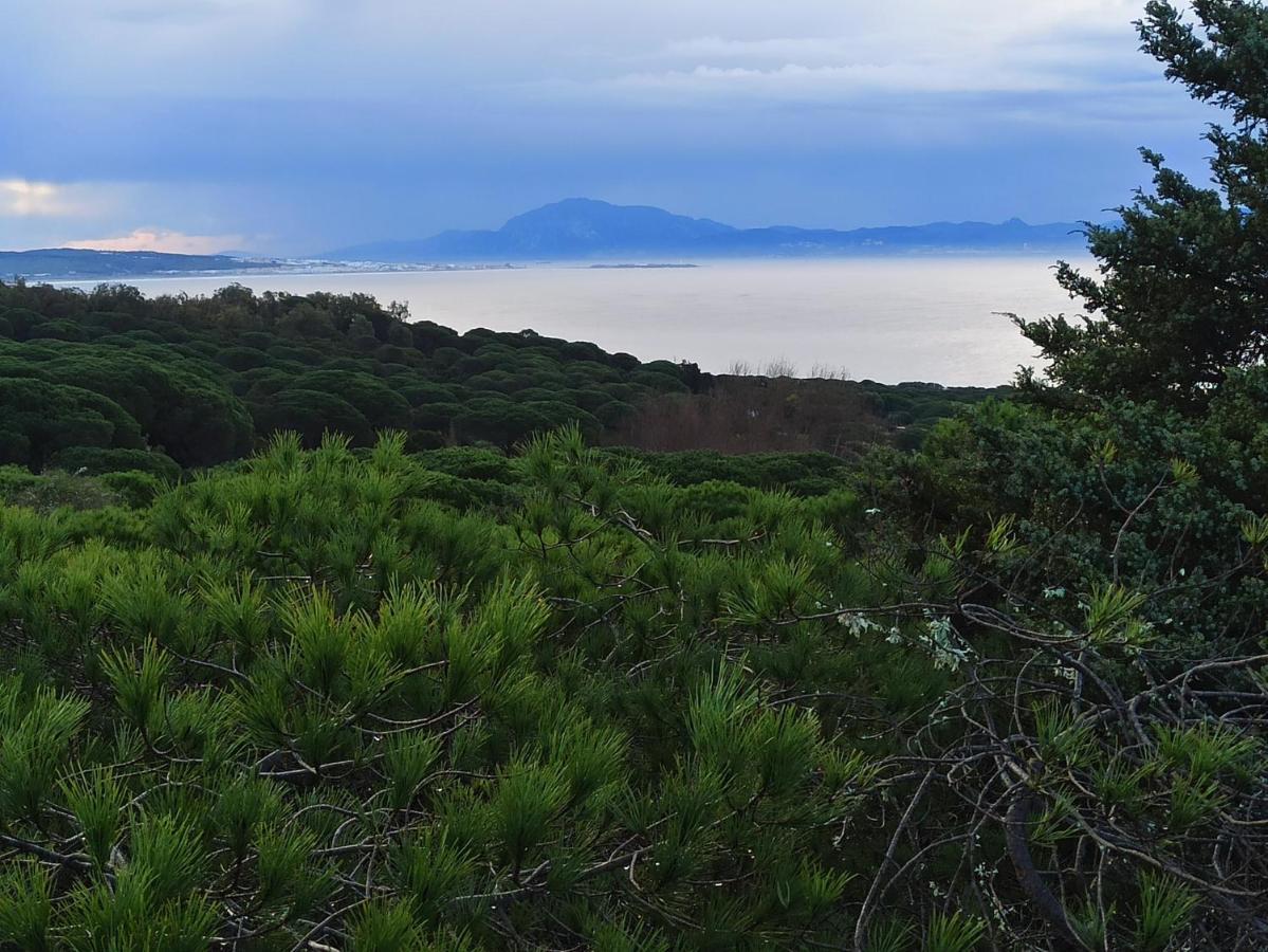 Casa Tarifena Villa Tarifa Eksteriør billede